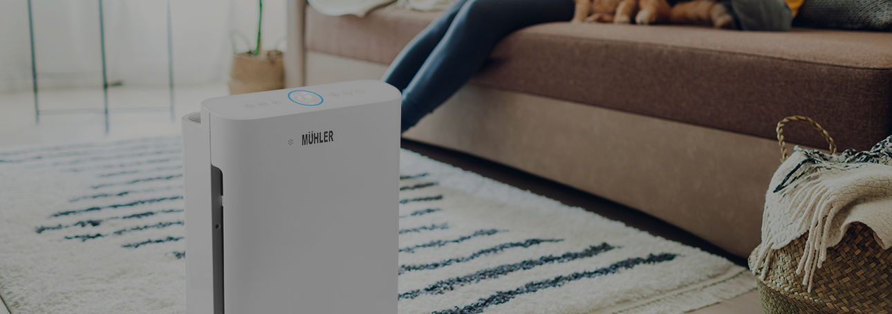 Подобри качеството на въздуха у дома с пречиствател на въздух от Alleop.bg Как да изберем пречиствател на въздух? - Alleop.bg