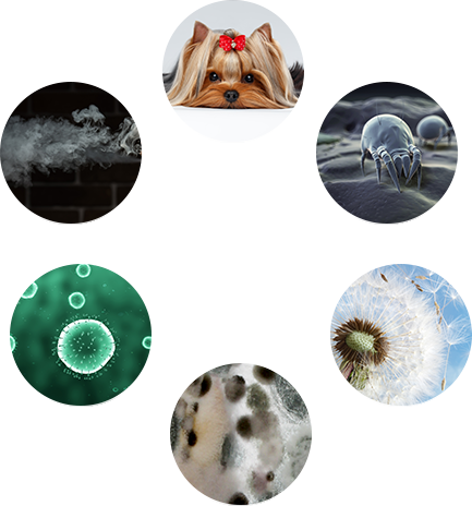 Елиминирай замърсителите на въздуха у дома с пречиствател - Alleop.bg